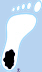 NC Tarheels